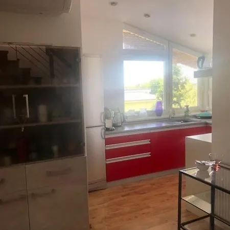 Living In The Gallery *