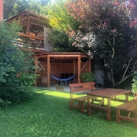 Living In The Gallery *