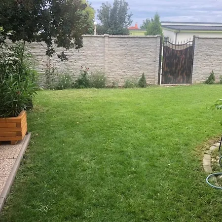 Living In The Gallery Janosikova