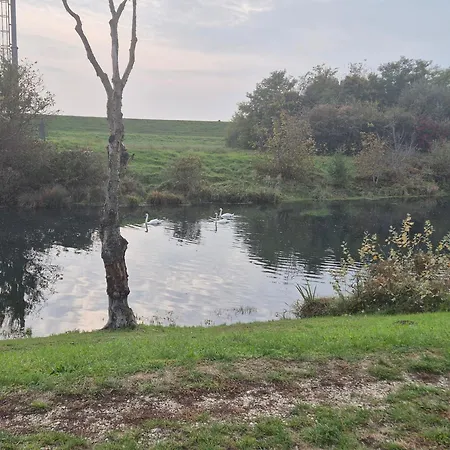 Living In The Gallery