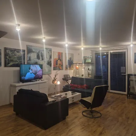 Living In The Gallery * Janosikova