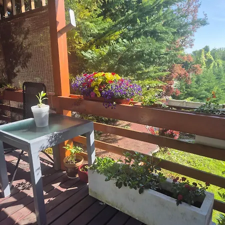 Apartament Living In The Gallery Janosikova