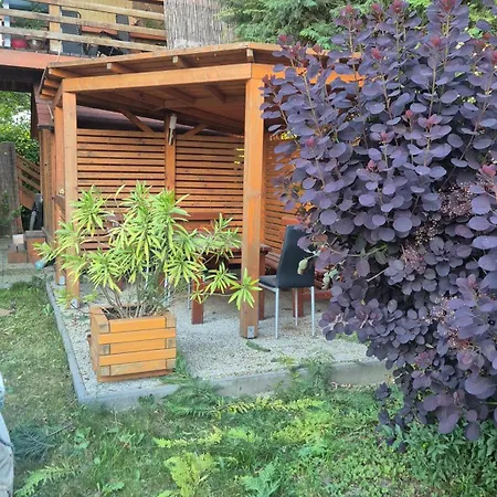 Living In The Gallery